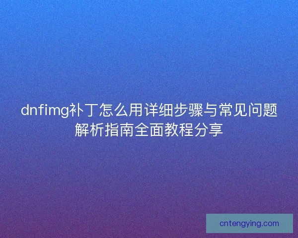 dnfimg补丁怎么用详细步骤与常见问题解析指南全面教程分享