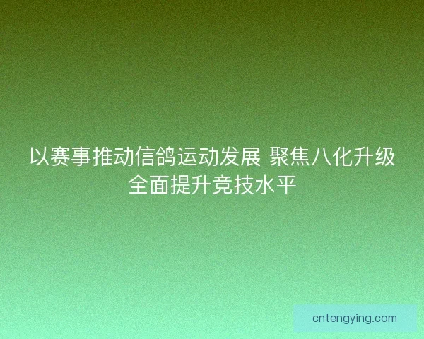 以赛事推动信鸽运动发展 聚焦八化升级全面提升竞技水平