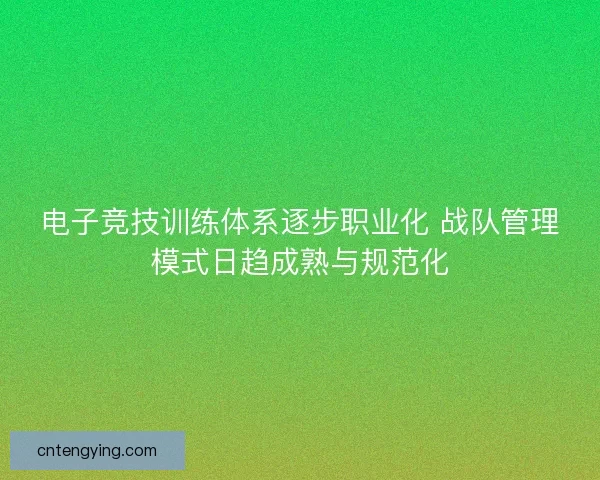 电子竞技训练体系逐步职业化 战队管理模式日趋成熟与规范化 电子竞技训练体系逐步职业化 战队管理模式日趋成熟与规范化